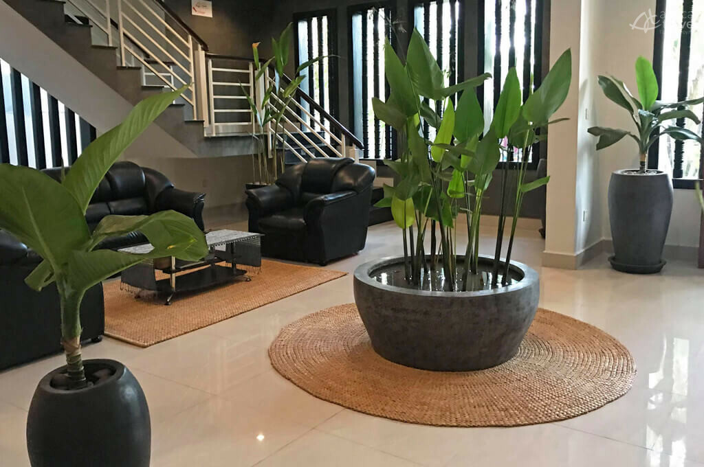 accueil rez de chaussee siem reap bureau