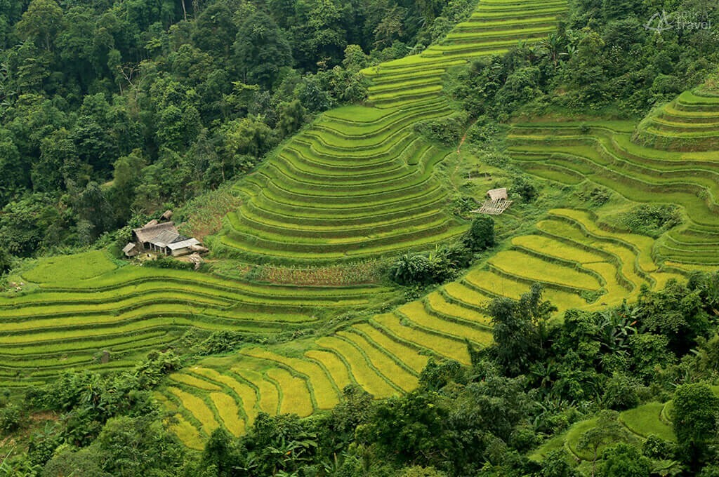 Rizières en terrasses de Song Chay saison de riz ha giang nord vietnam