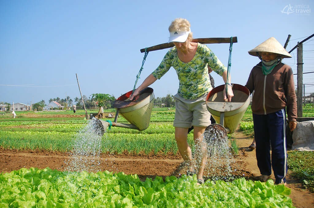 Arrosage des légumes dans le village de Tra Que, Hoi An, Vietnam Arrosage des légumes dans le village de Tra Que, Hoi An, Vietnam -