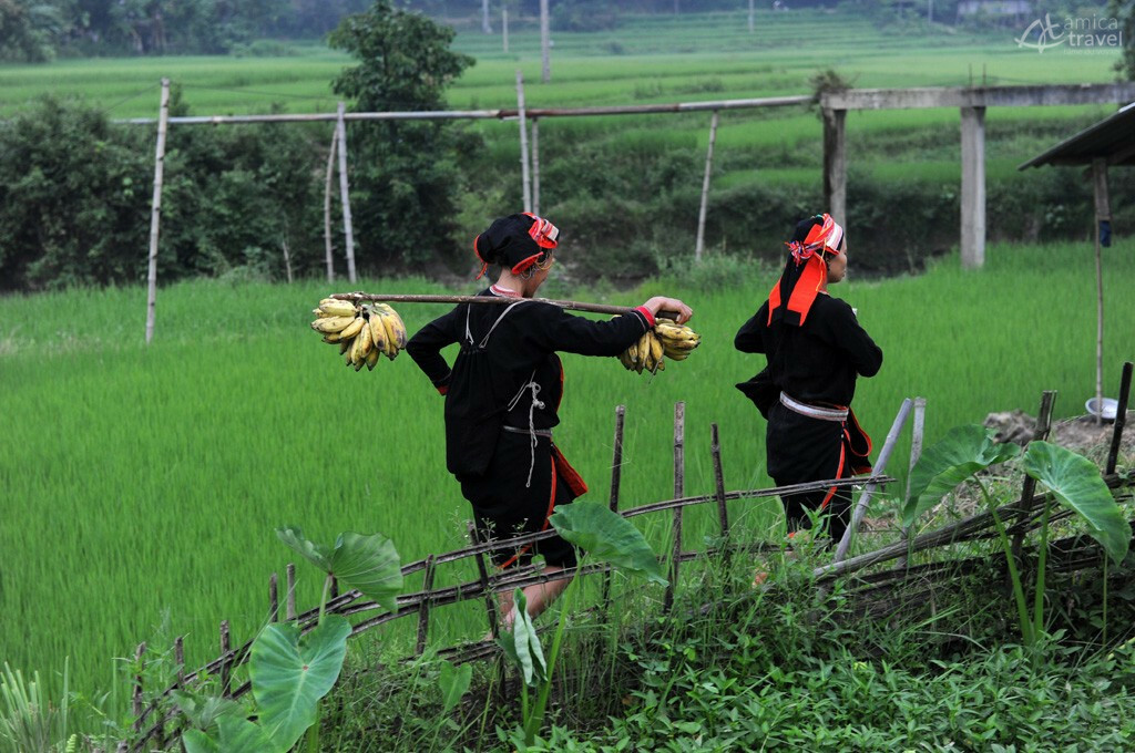 Femmes Dzao à Ha Giang femmes dzao ha giang
