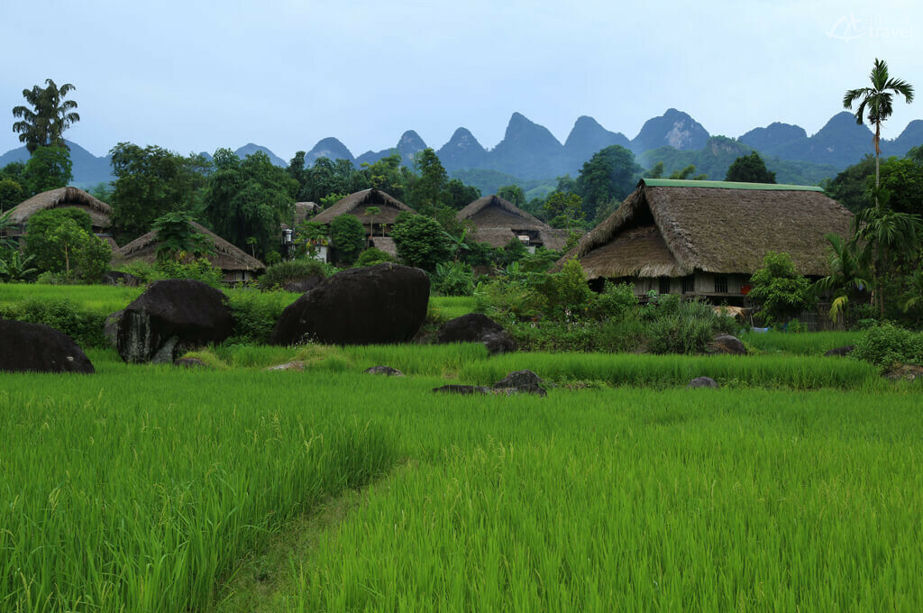Un véritable village à peindre maisons rizieres vertes ha giang