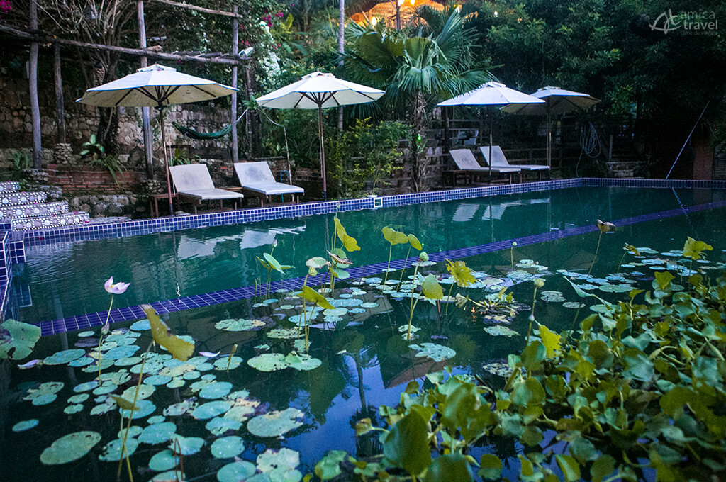 Une piscine naturelle et écologique piscine nénuphar