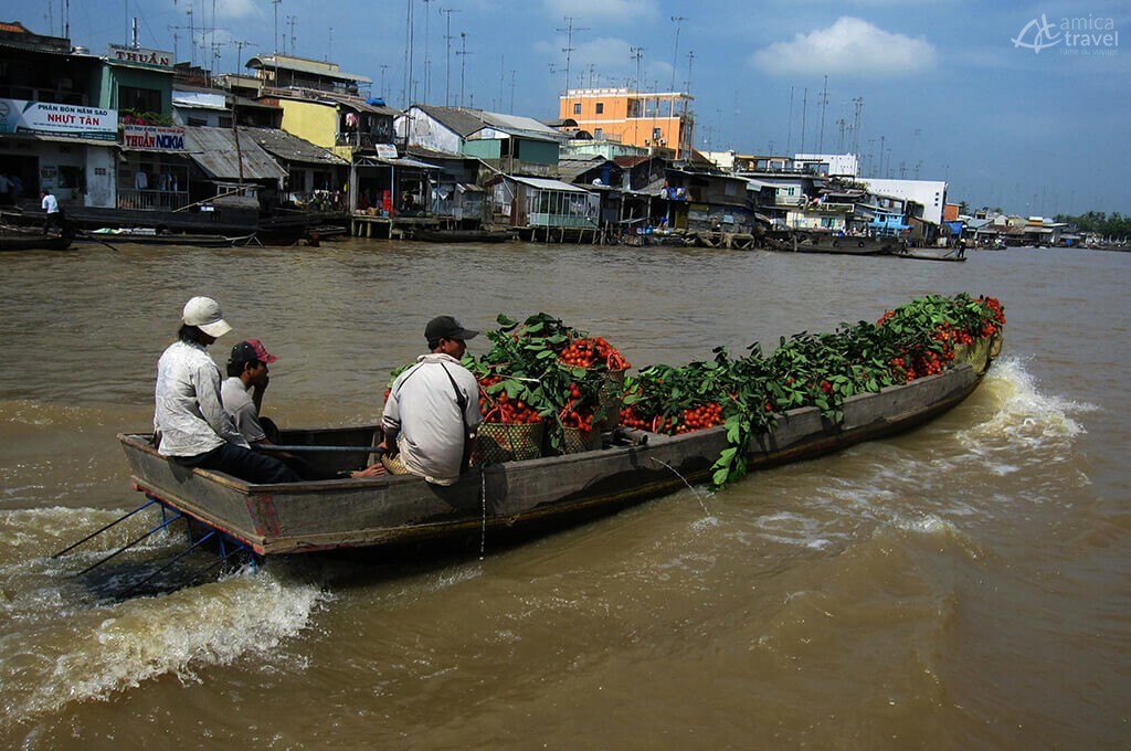 Delta du Mékong Sud Vietnam