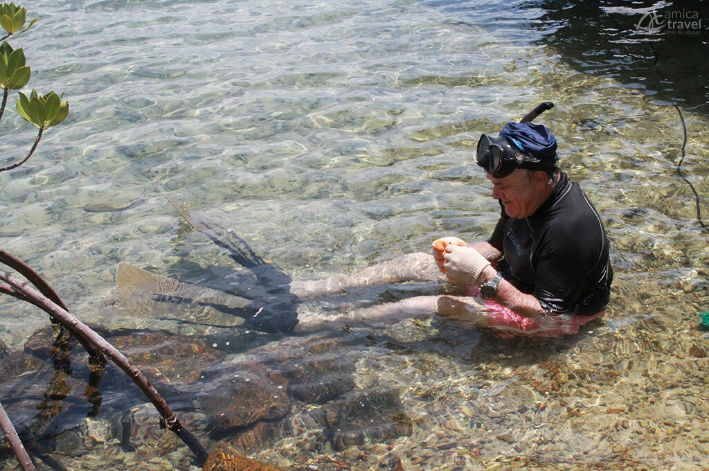 michel gardien resort et son parc marin