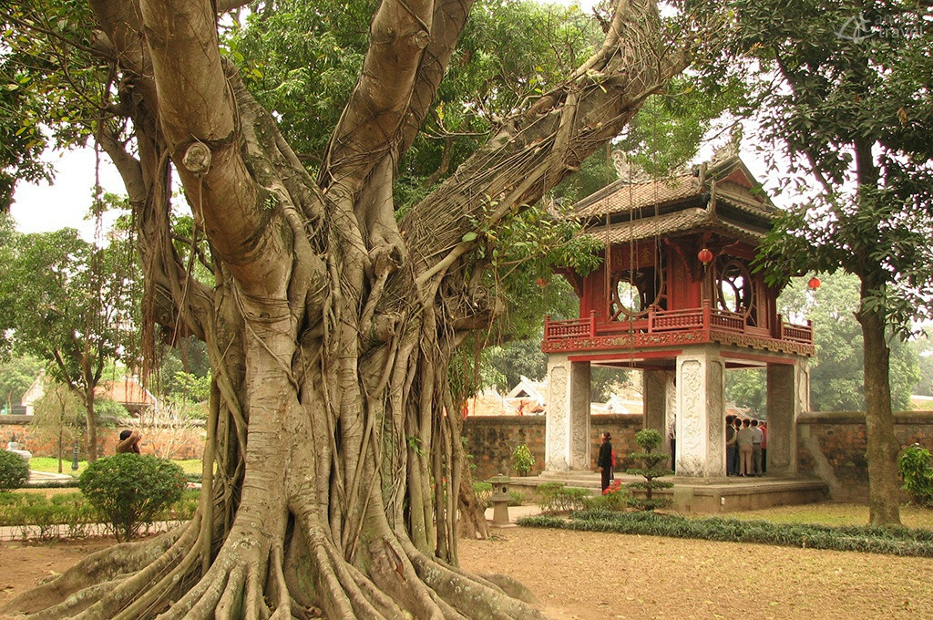 Le temple de la Littérature temple de littérature