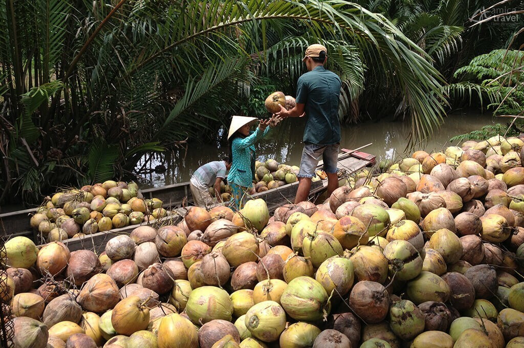 Au pays des cocotiers Ben Tre Vietnam
