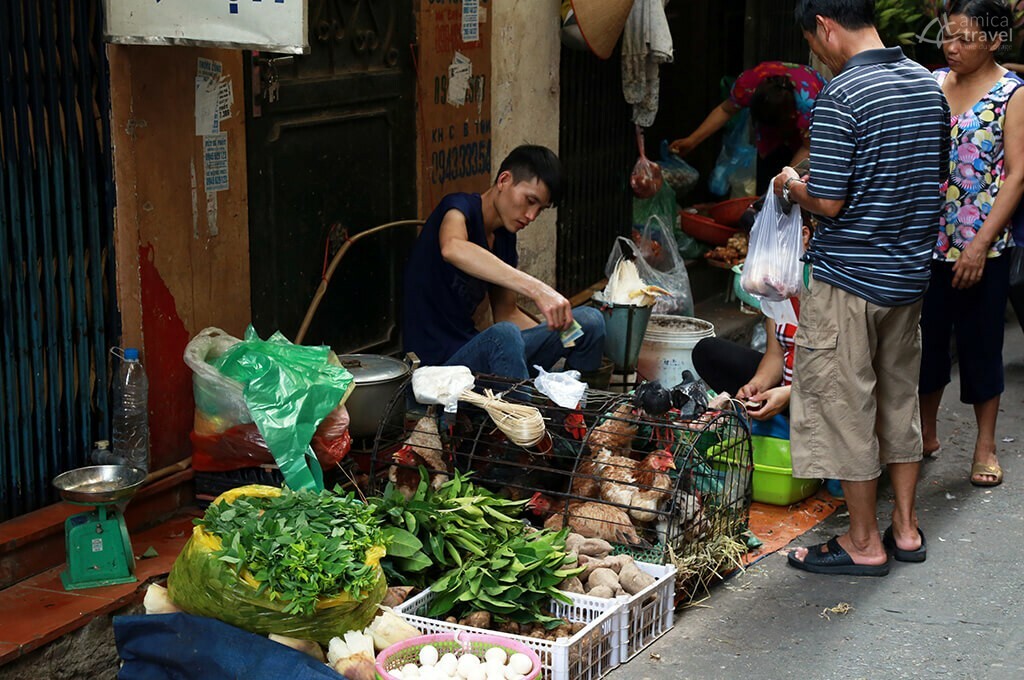 vendeur volailles un marché local Hanoi