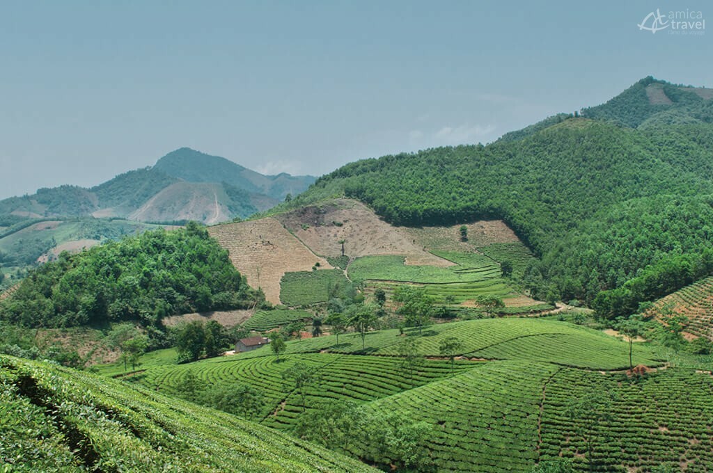 paysage Nghia Lo Nord Vietnam