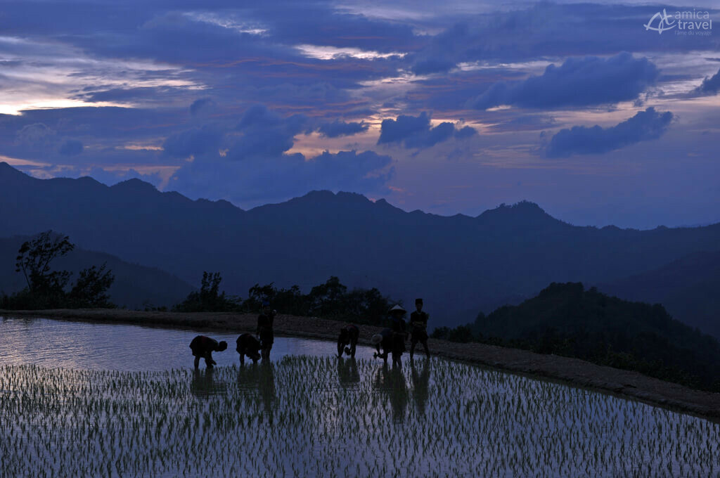 nuit lolo noirs rizieres