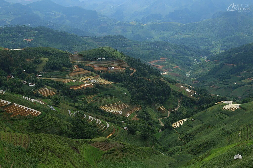 rizières en terrasse Hagiang Nord Vietnam