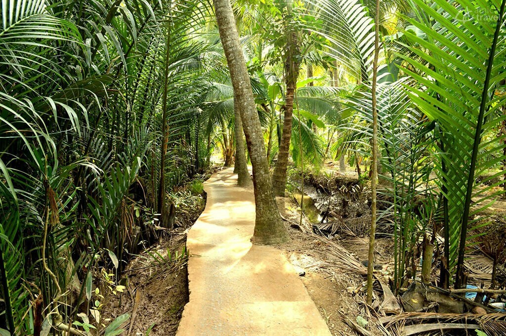 balade jungle cocotiers Ben Tre