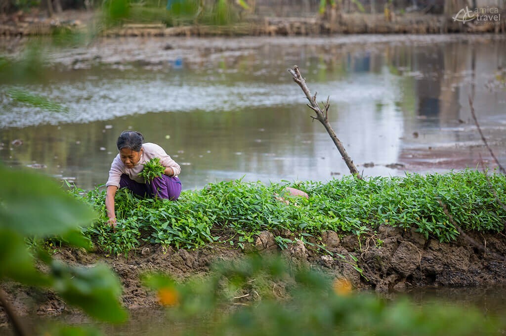 Vie quotidienne Tam Coc