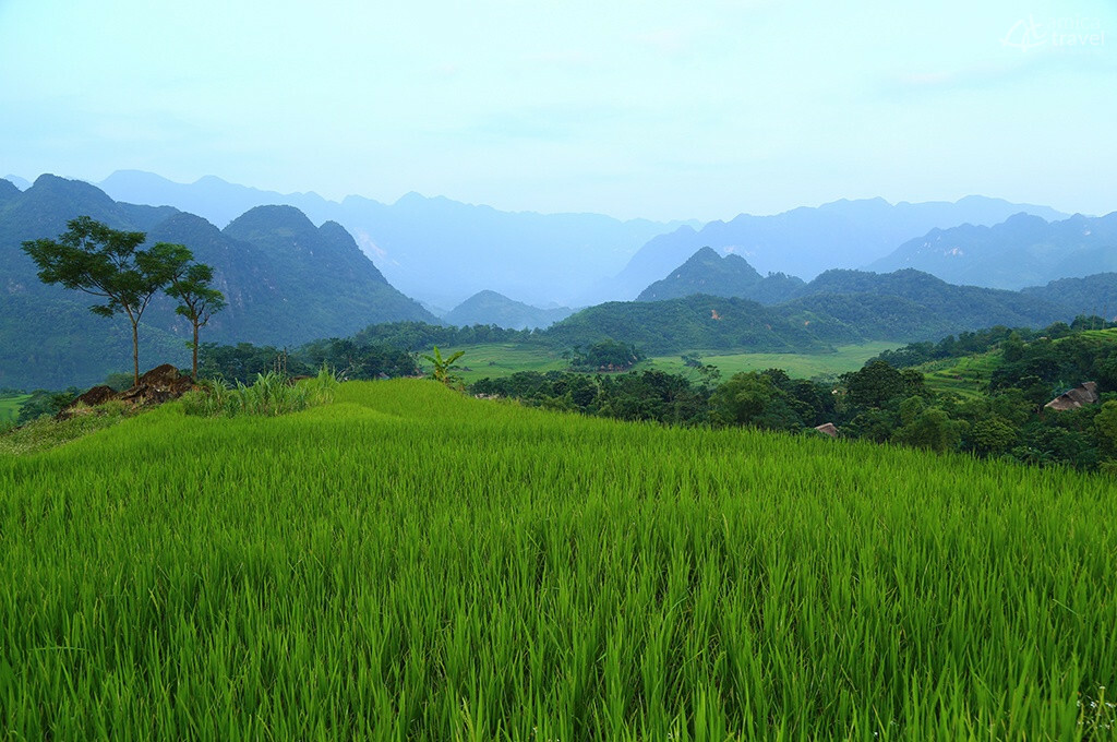 reserve naturelle pu luong