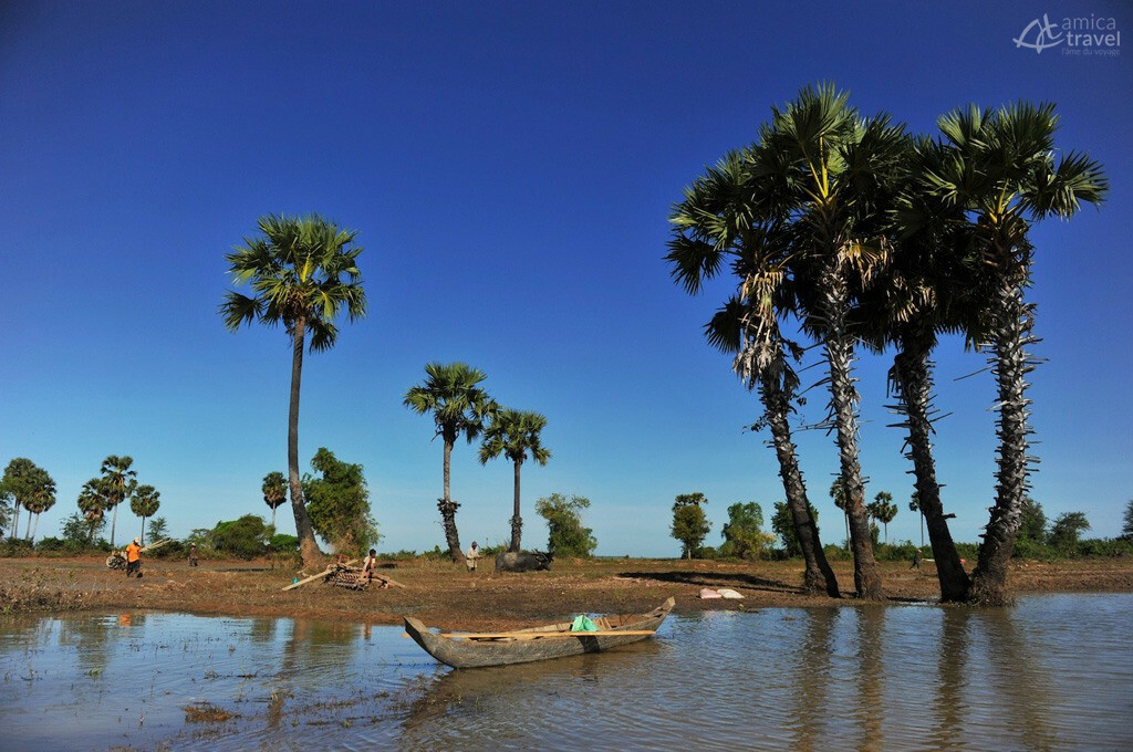 L'éternelle campagne cambodgienne, surmontée des palmiers à sucre. campagne paisible kompong thom
