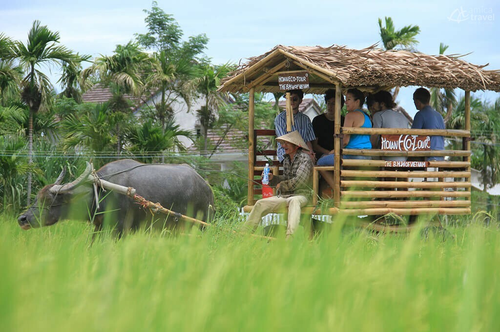 Chariot de buffle dans la campagne de Hoi An, Vietnam Chariot de buffle dans la campagne de Hoi An -