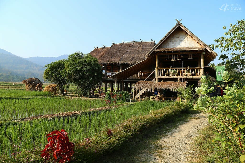 Ferme organique de Luang Prabang ferme organique Luang Prabang Laos