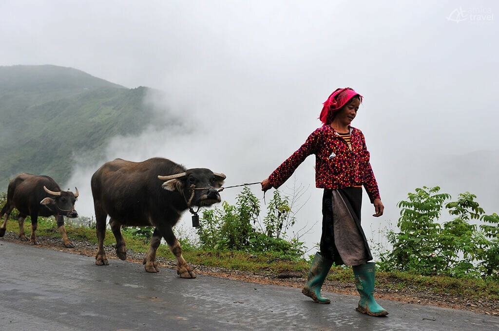 Fille Hmong Ha Giang Vietnam