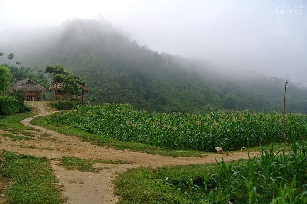 Chemin vers les Bains de Hieu Chemin Pu Luong Vietnam