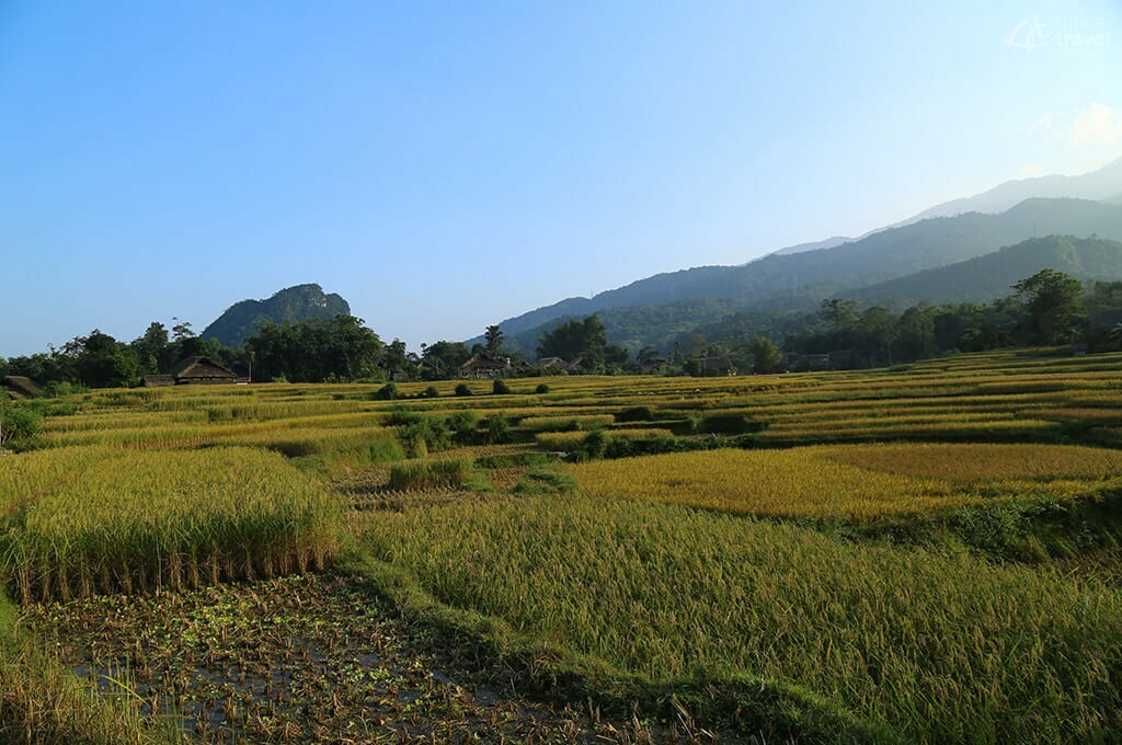 Rizières de Ha Thanh rizières Hagiang Nord Vietnam