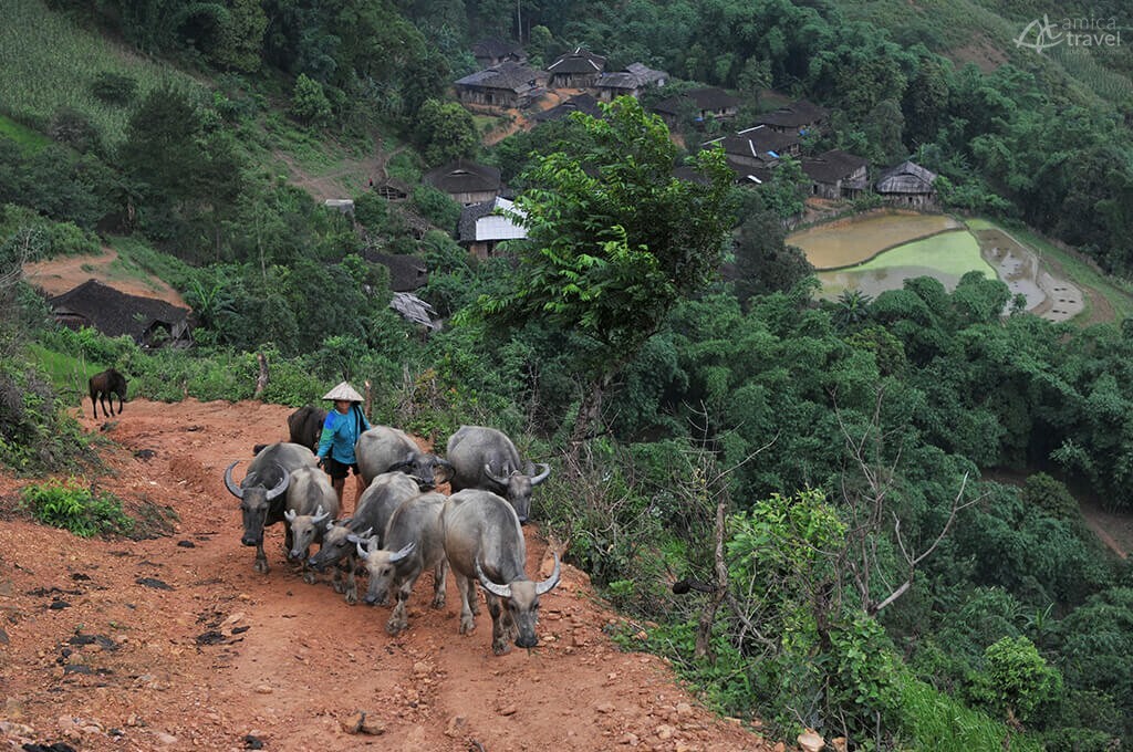 Village Lolo noir Vietnam
