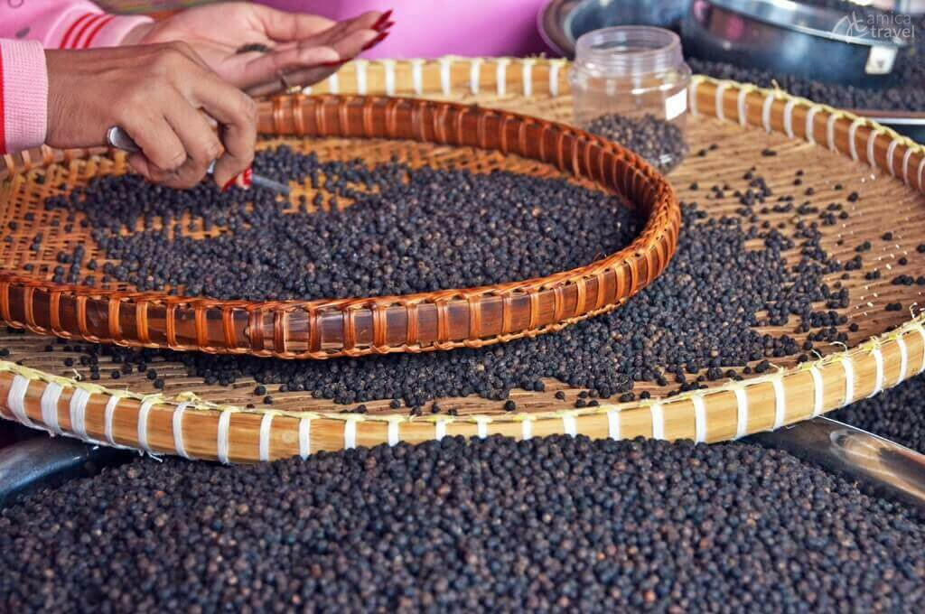 Le poivre de Kampot poivre Kampot