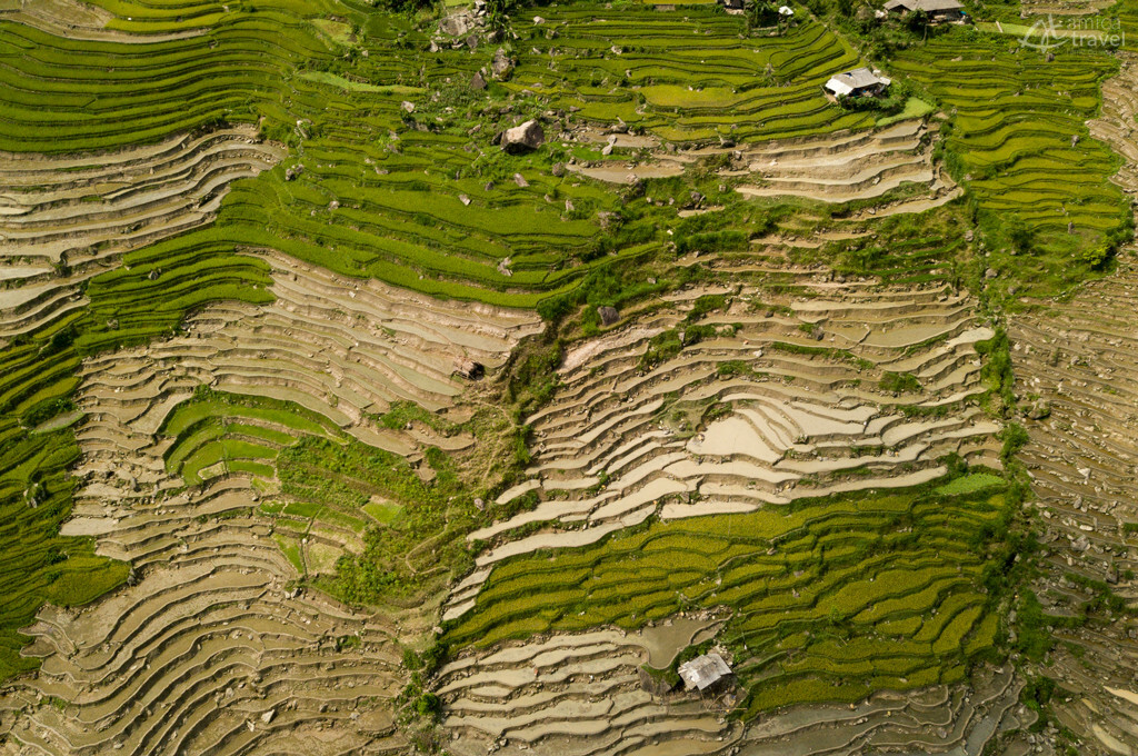 Des escaliers géants rizières terrasses hoang su phi