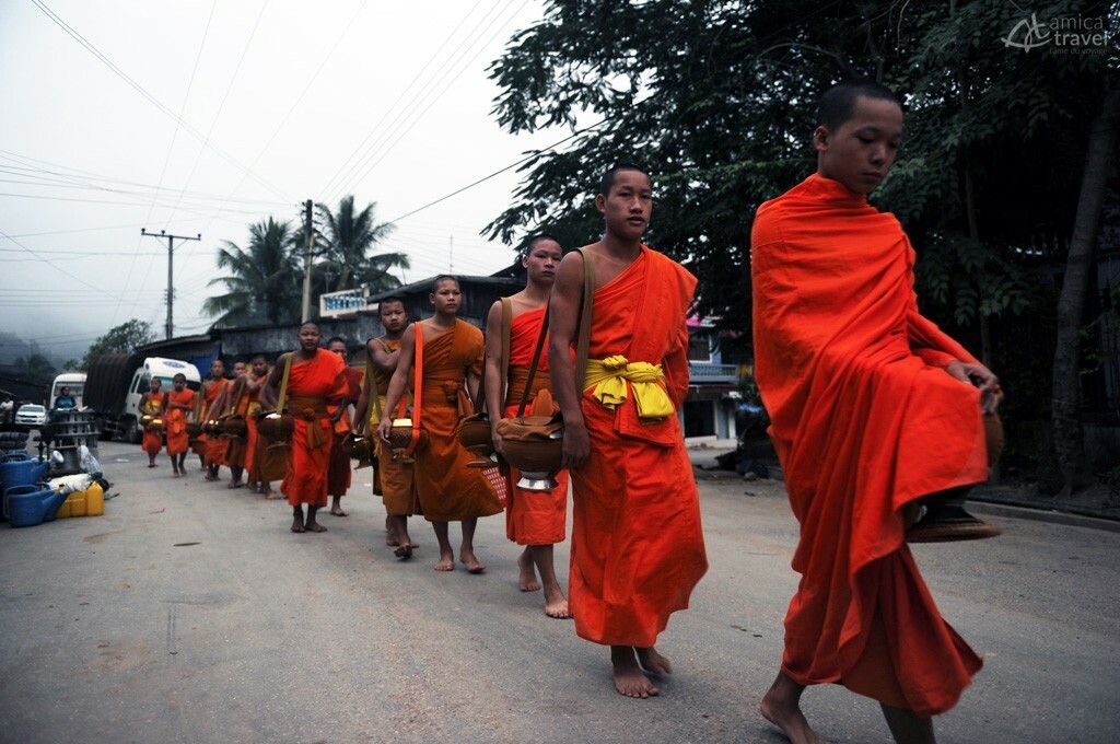 quête matinale luang prabang laos
