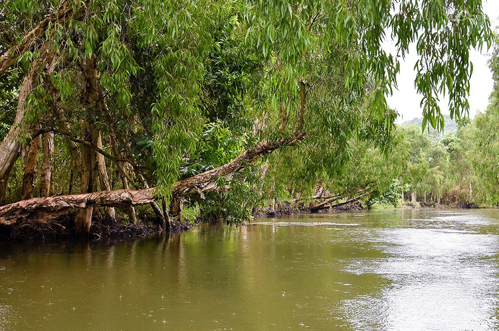 Les multiples canaux de Ninh Binh canaux ninh binh