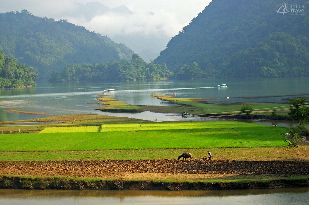 rizières près du lac Ba Be