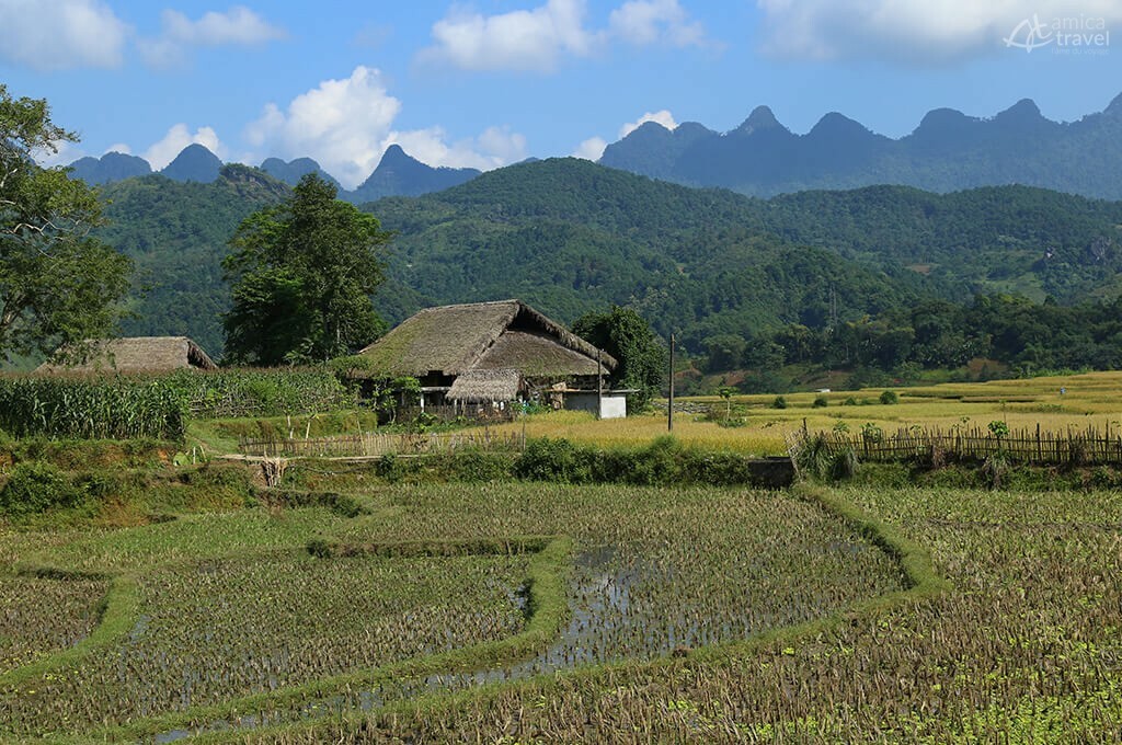 Village ethnie tay ha giang nord vietnam