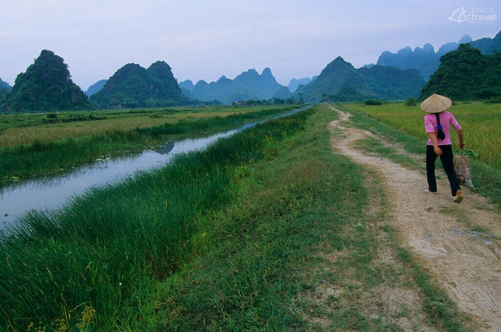 Campagne de Ninh Binh campagne Ninh Binh