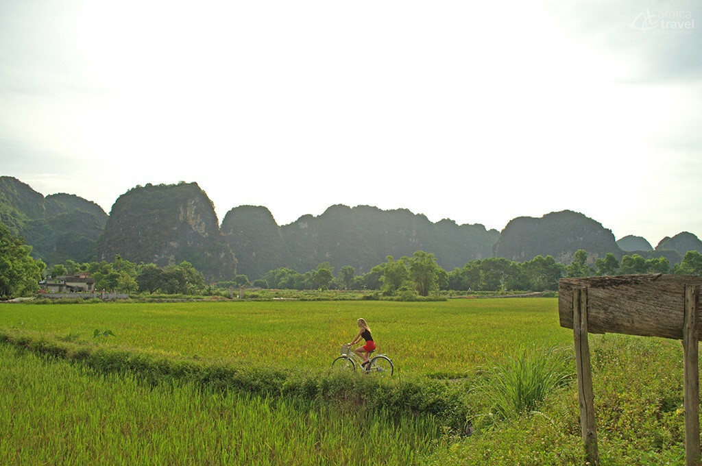 tour velo milieu rizieres