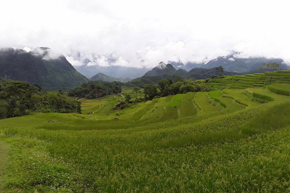 La série de rizières en terrasses depuis Pu Luong Home rizieres en terrasse pu luong