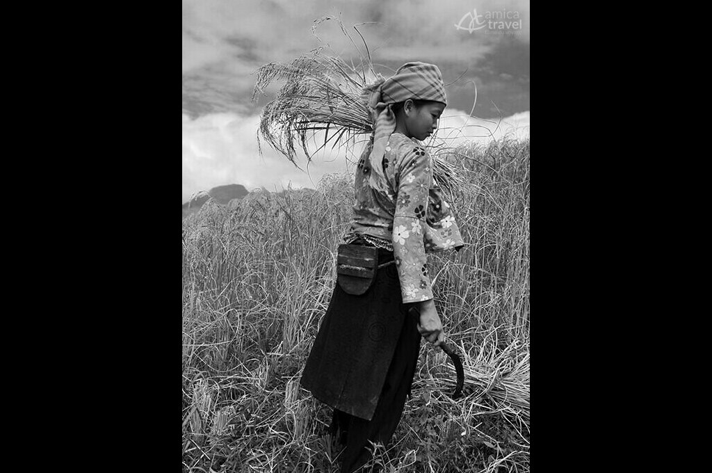 ethnie hmong meo vac