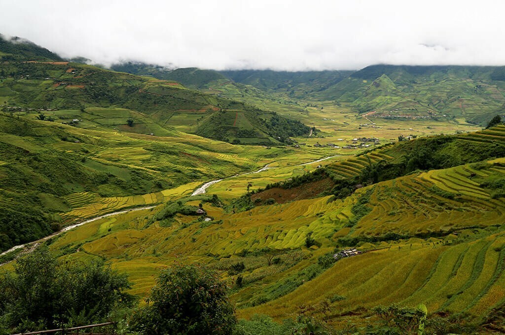 rizierre Tu Le Yen Bai Vietnam