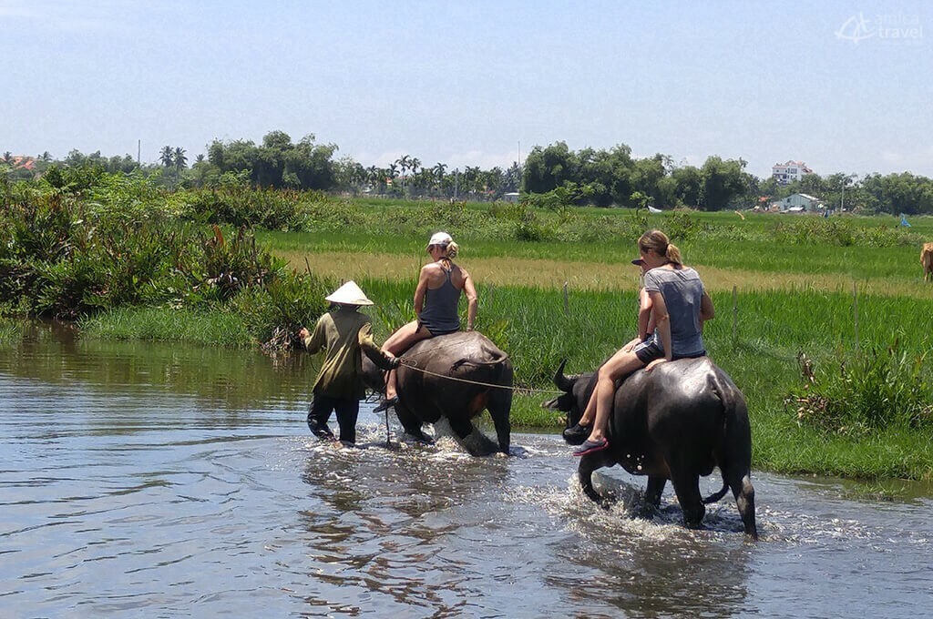 Balade sur le dos des buffles dans la campagne de Hoi An, Vietnam Balade sur le dos des buffles dans la campagne de Hoi An -