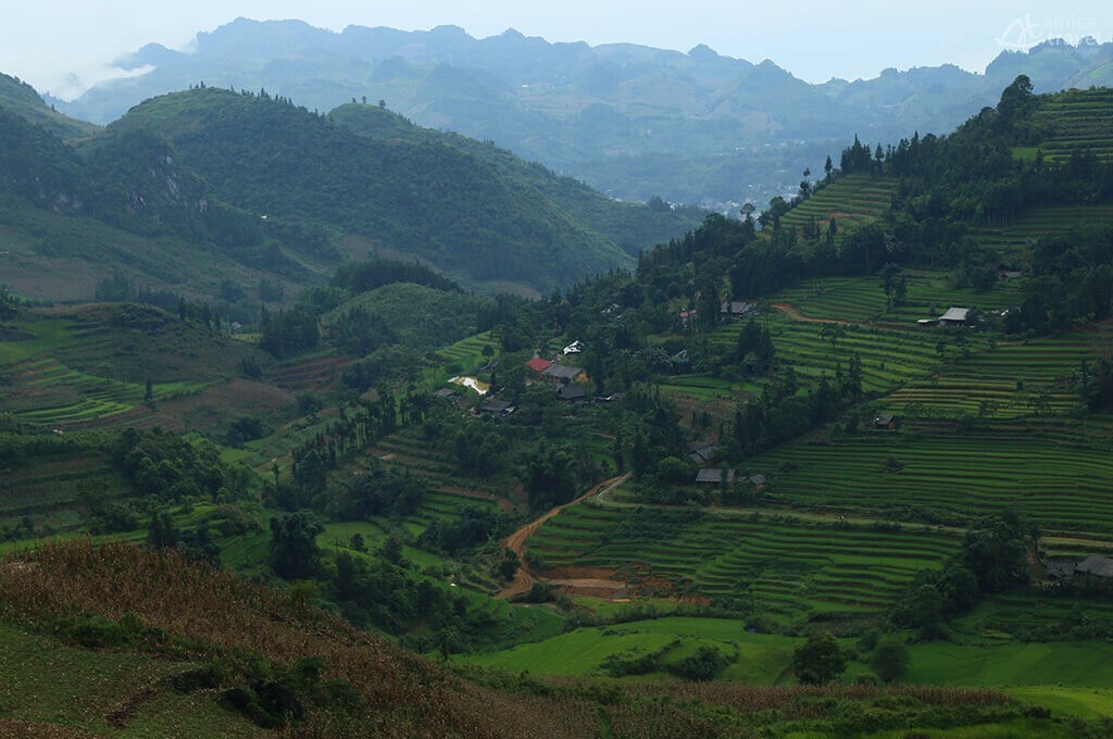Rizières en terrasse, Bac Ha, Nord Vietnam rizières en  terasse Bac Ha Nord Vietnam