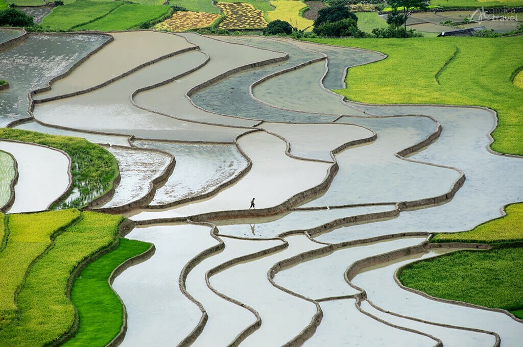 rizieres en terrasse mu cang chai nord vietnam