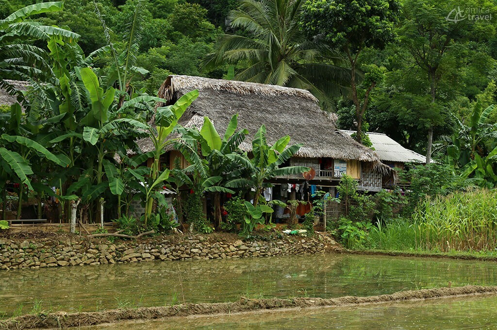 village Thai Mai Hich, Mai Chau
