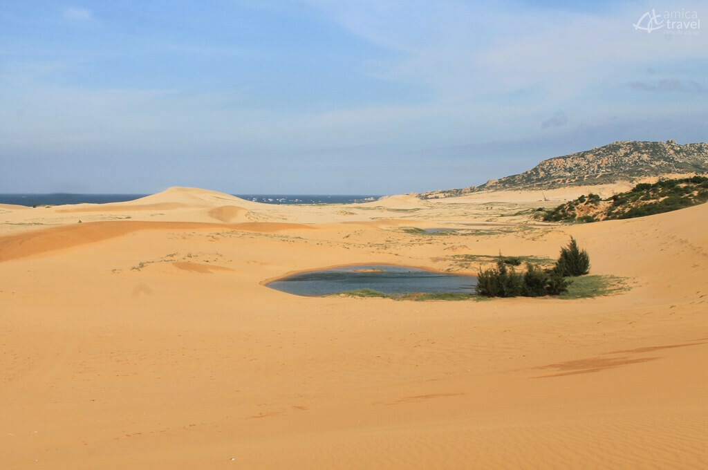 Oasis en plein milieu des dunes à Mui Dinh oasis dune mui dinh
