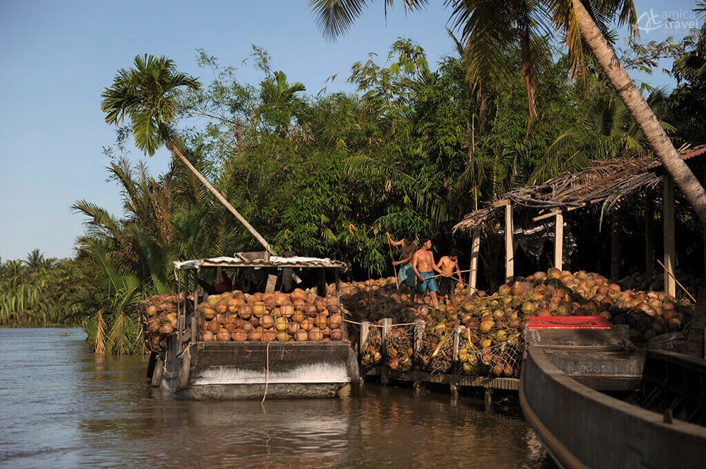 Jungle de cocotiers à Ben Tre, Delta du Mékong, Sud Vietnam cocotiers Ben Tre Delta Mekong, Sud Vietnam