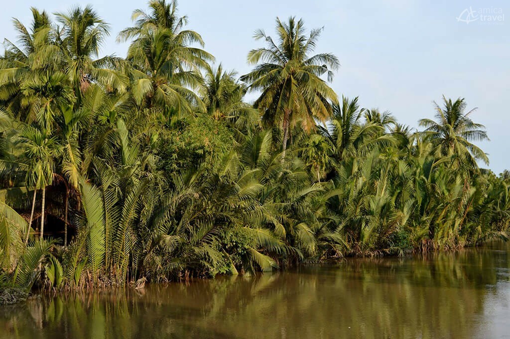 ben tre venise verte vietnam