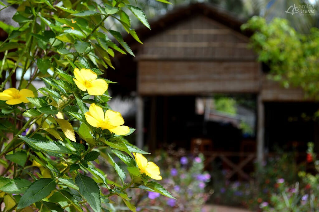 fleurs jardin chez Viet Ben Tre sud vietnam