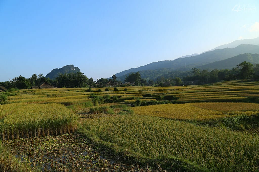 Rizières massif Tay Con Linh Ha Giang