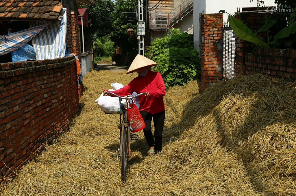 route dans paille village vac hanoi