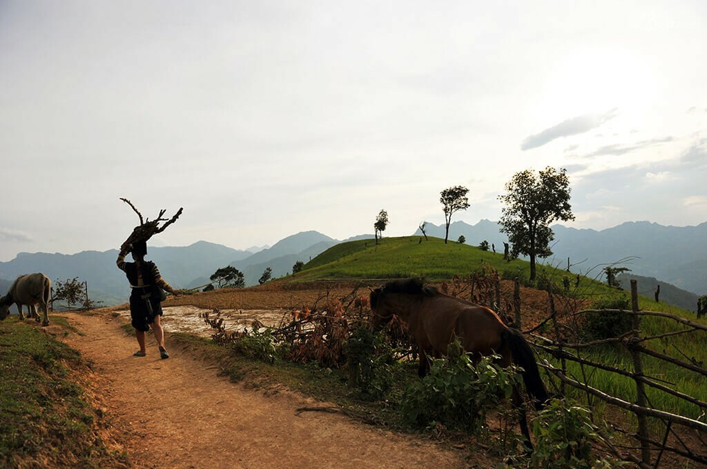 Femme Lolo noir sur le chemin du retour de travail femme lolo noir rentrant à la maison après une journée de travail
