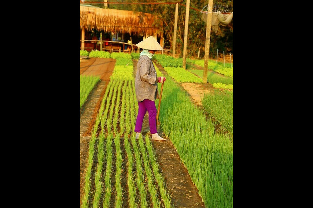 paysanne village tra que s'occupant des ciboules