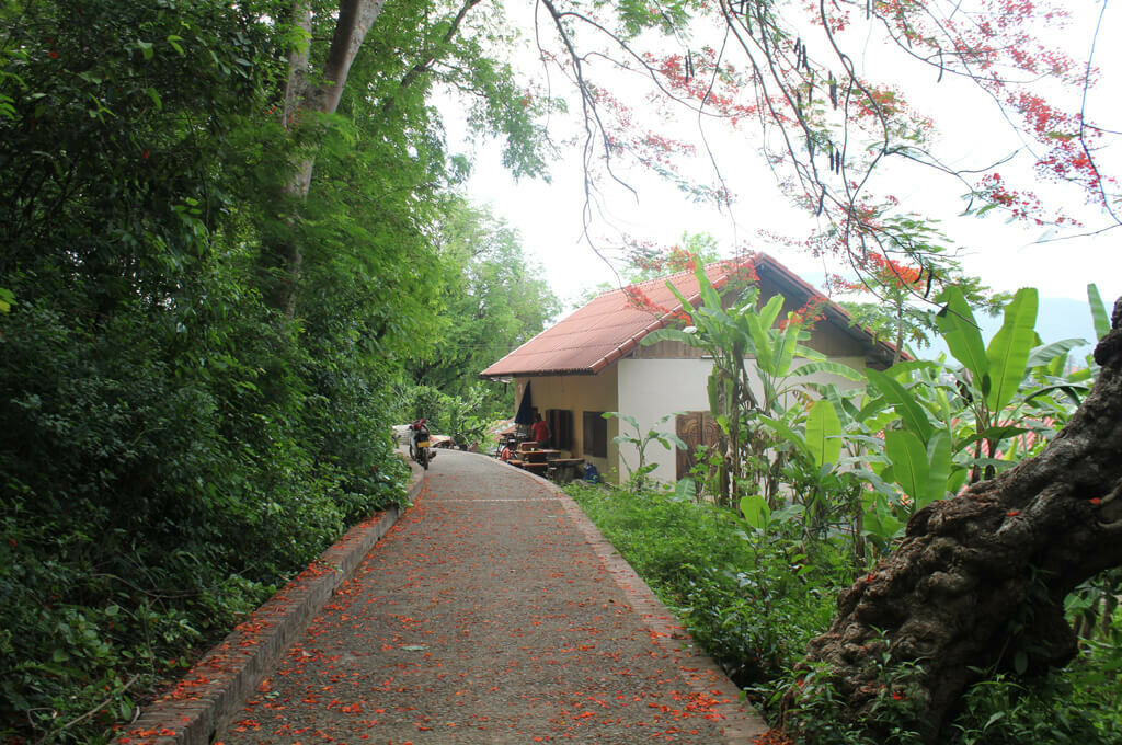 Petit chemin goudronné en direction des villages chemin villages