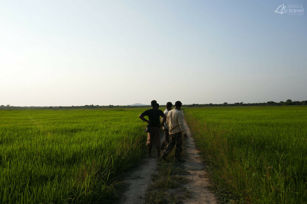 Visite des terres sur la zone non inondée Kompong Chhnang zone