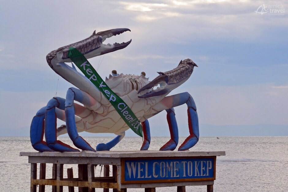 Le crabe bleu de Kep crabe bleu kep